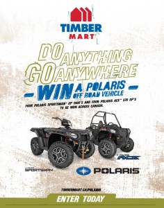 TIMBER MART Polaris Promo Poster web